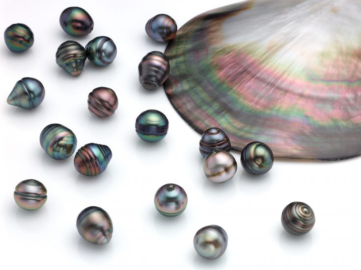 Lote de Perlas tahiti circulo multicolor